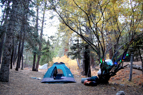 Camping